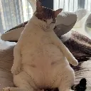 ChillBao7