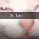 Dumbass