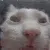 aaa