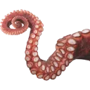 tentacle