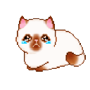 :148_kittycry: