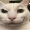 Catsmirk