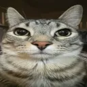 Screenshot20260529072051
