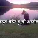 lone_wolf
