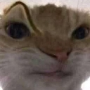 emoji_12 Discord Emoji - PLENGERR