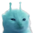 blorp