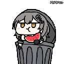 raccoon