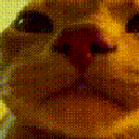 1499vibecat