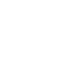 white_asterisk
