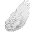 49656angelwing