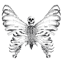 95294skeletonbutterfly