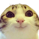 d_cathehe Discord emoji