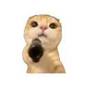kat