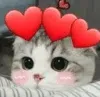 catLove