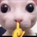 shhhh