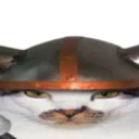 VikingCat2