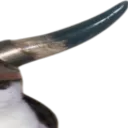 VikingCat3