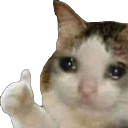 sadcat Discord sticker from 『🇧🇦🇷🇴』𝙍𝙊𝘽𝙊𝙎𝙉𝙄𝘼 𝘾𝙊𝙈𝙈𝙐𝙉𝙄𝙏𝙔
