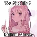 bulshit