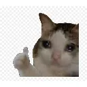okiii
