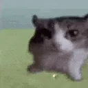 exploded