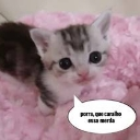 emoji_4 custom emote | ᴅᴇᴀᴛʜ ᴘʟᴀᴄᴇ
