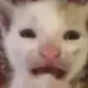 cri