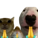 animalspraying custom emote | Hejteri CODM