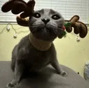 BINKY