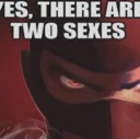 sexes Discord sticker - 《☆ CH3S3'S EMPIRE ☆》