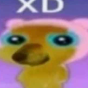 dogxd Discord emoji