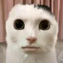 emoji_35