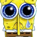 sadsponge