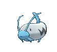 barboach