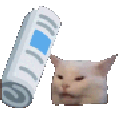 bonkcat