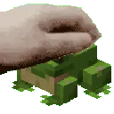 Minecraftfrogpat
