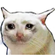 CattoCryy