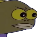 SpongeYouWat