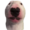 Walter