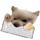 679076dogkeyboard