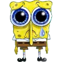 49747sadsponge