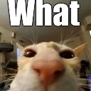 emoji_4