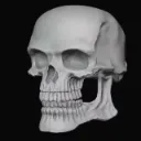 1046383294663823218