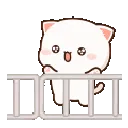 happyjumpingcat