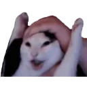 WAHOO