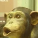 wow