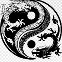ede8a56aad8c4030860efc3beb0b6fc5 Discord Emoji - Dragon family