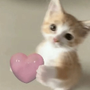g_tequierogatito_aw Discord emoji