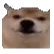 9957okaybro