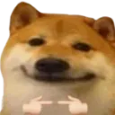 9081dogeshy